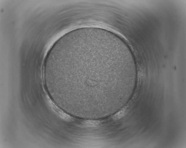 X0000053061514200508011900