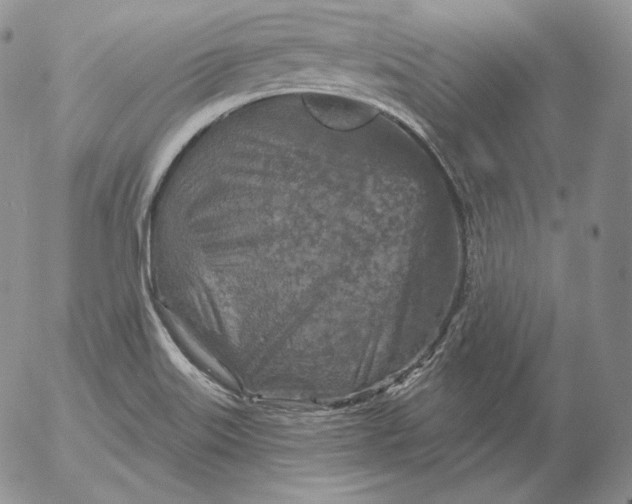 X0000053061515200508011900