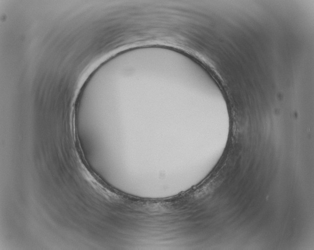 X0000053061516200508011900