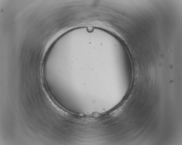 X0000053061517200508011900