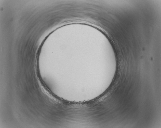 X0000053061518200508011900