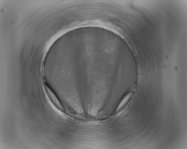 X0000053061519200508011900