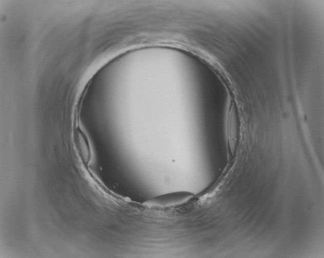 X0000053061520200508011900