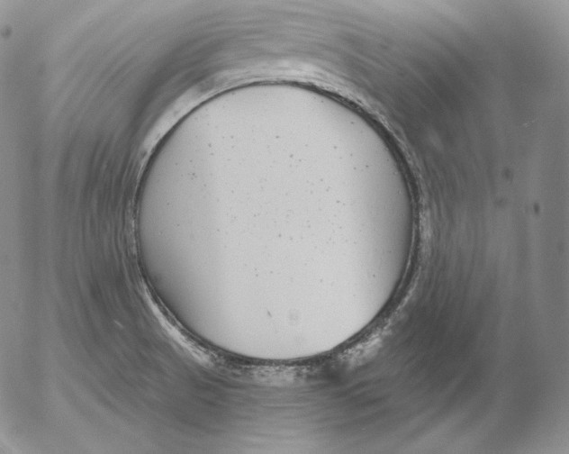 X0000053061521200508011900