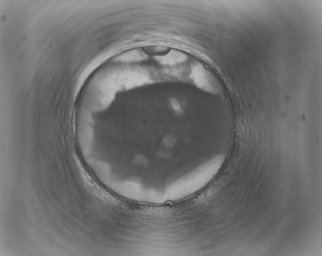 X0000053061522200508011900