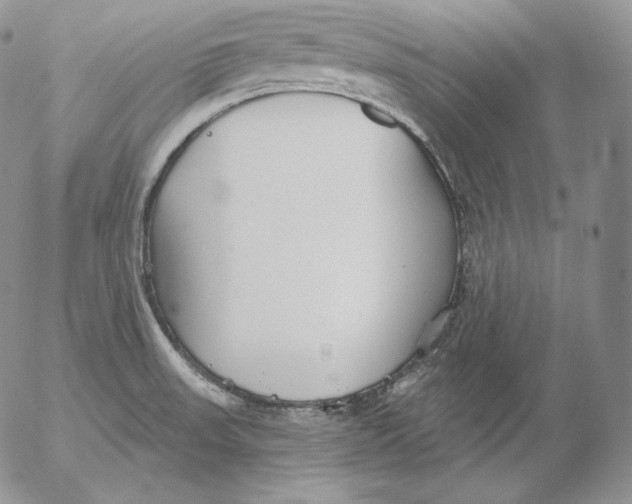 X0000053061523200508011900