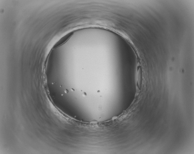 X0000053061524200508011900