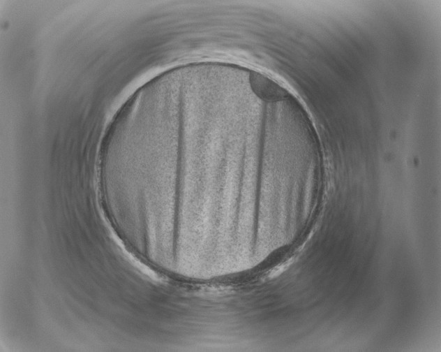 X0000053061525200508011900