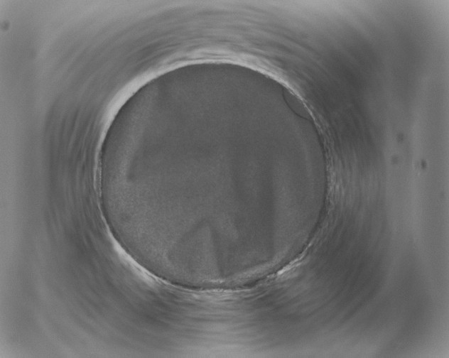 X0000053061527200508011901