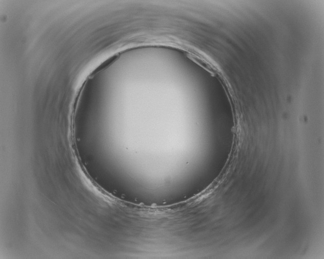 X0000053061528200508011901