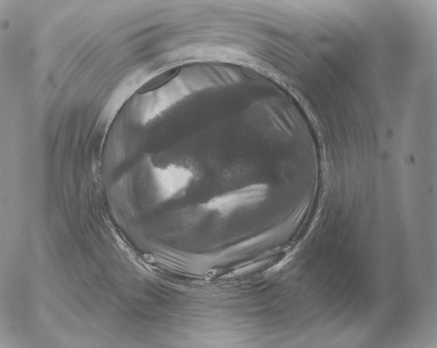 X0000053061529200508011901