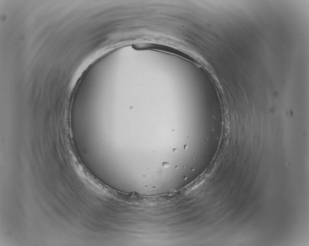 X0000053061530200508011901