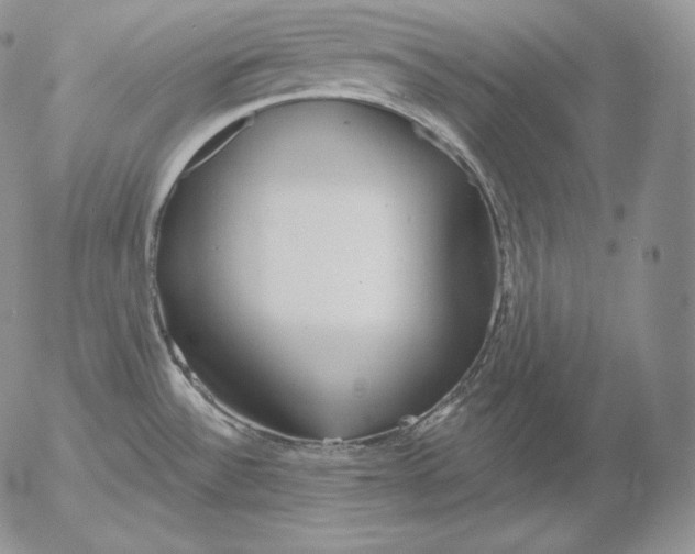 X0000053061532200508011901