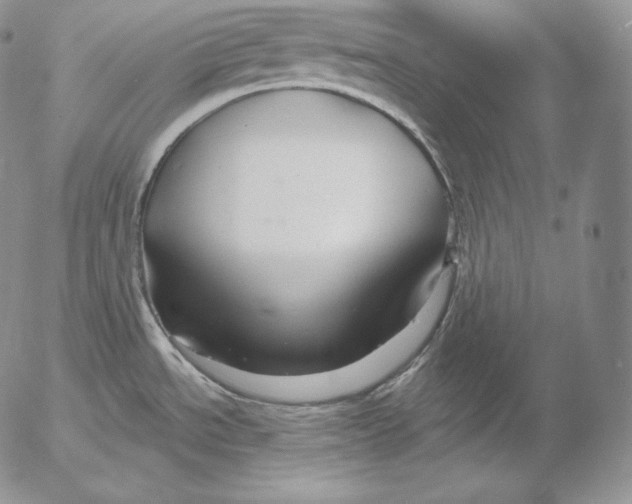 X0000053061534200508011901