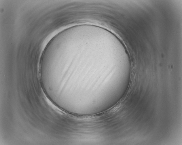 X0000053061535200508011901