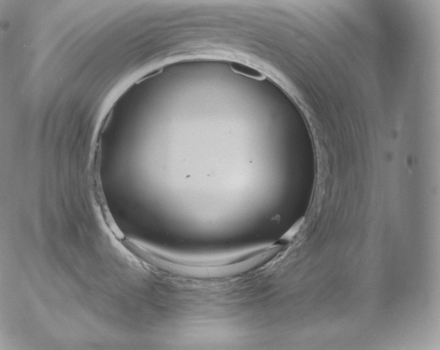 X0000053061536200508011901