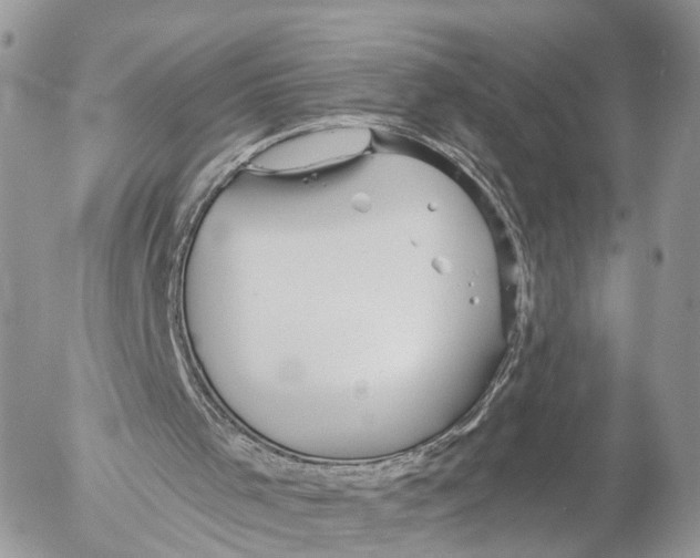 X0000053060001200508081206