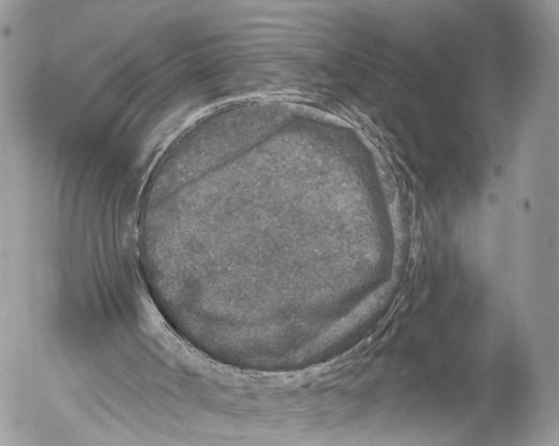 X0000053060002200508081206