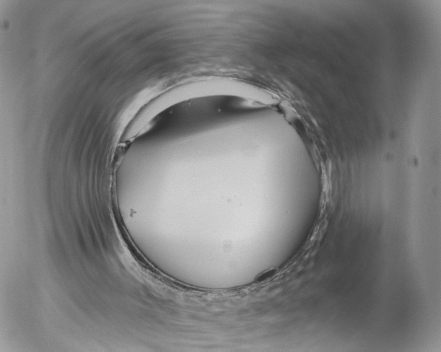 X0000053060003200508081206