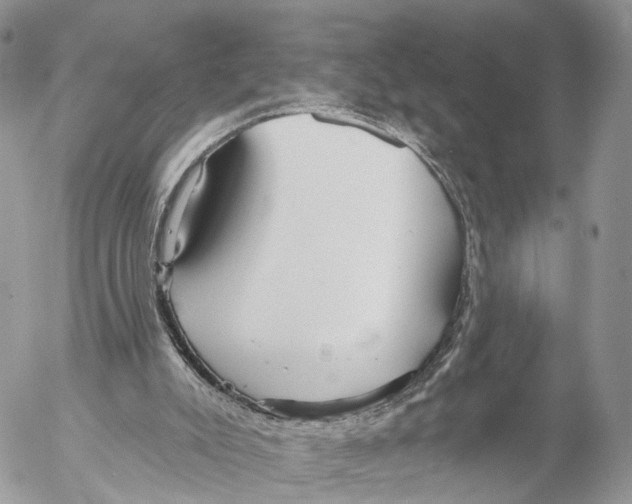 X0000053060007200508081206