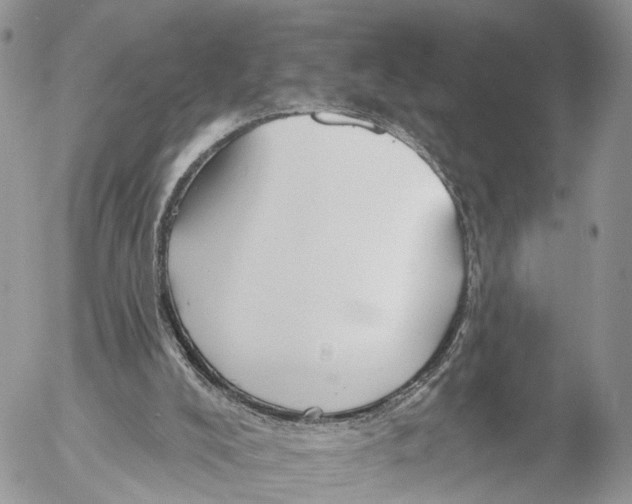 X0000053060008200508081206