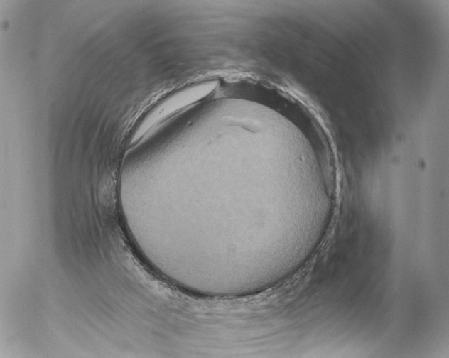 X0000053060009200508081206