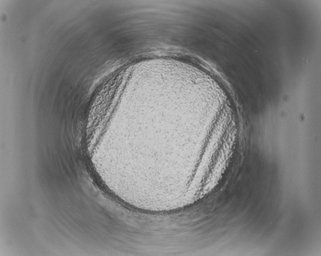 X0000053060010200508081206