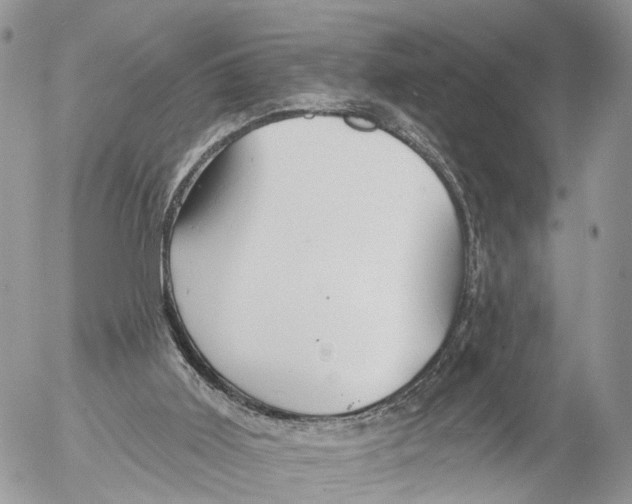 X0000053060011200508081206