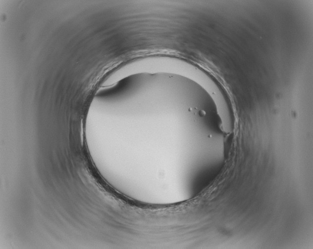 X0000053060013200508081206