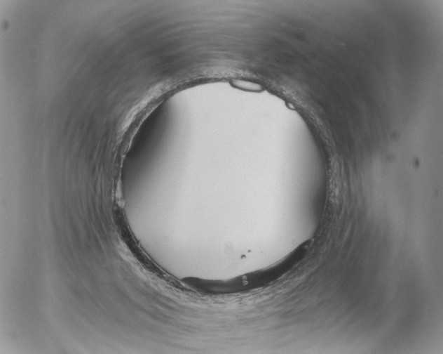 X0000053060015200508081206