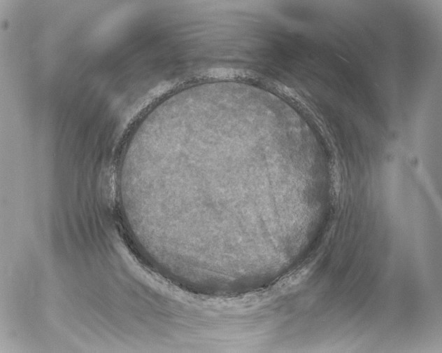 X0000053060016200508081206