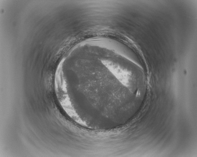 X0000053060018200508081206