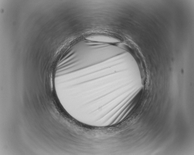 X0000053060020200508081206