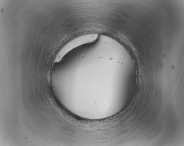 X0000053060021200508081205