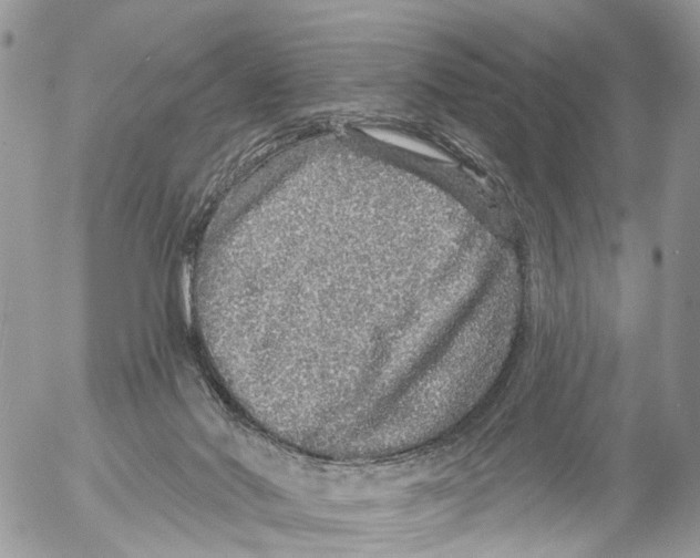 X0000053060022200508081205