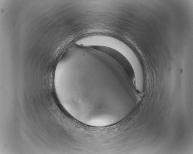 X0000053060023200508081205