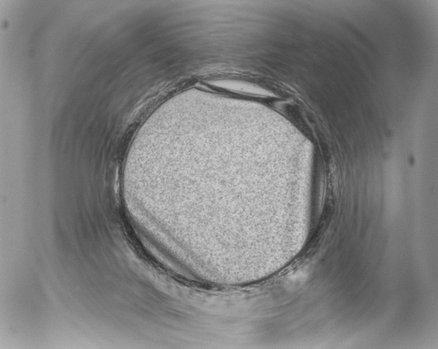 X0000053060024200508081205