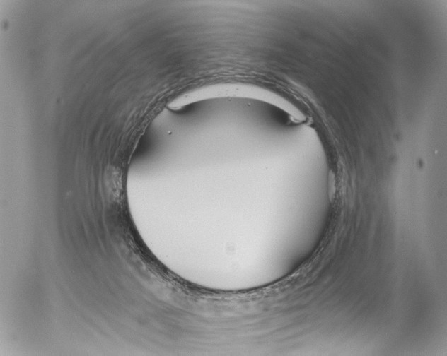 X0000053060025200508081205