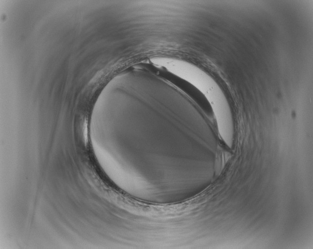 X0000053060027200508081205