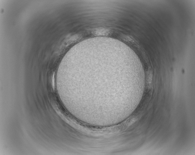 X0000053060028200508081205