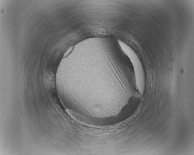 X0000053060029200508081205