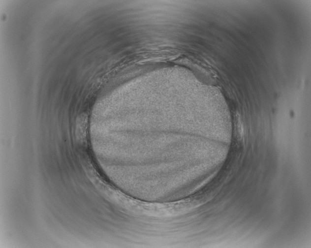 X0000053060030200508081205