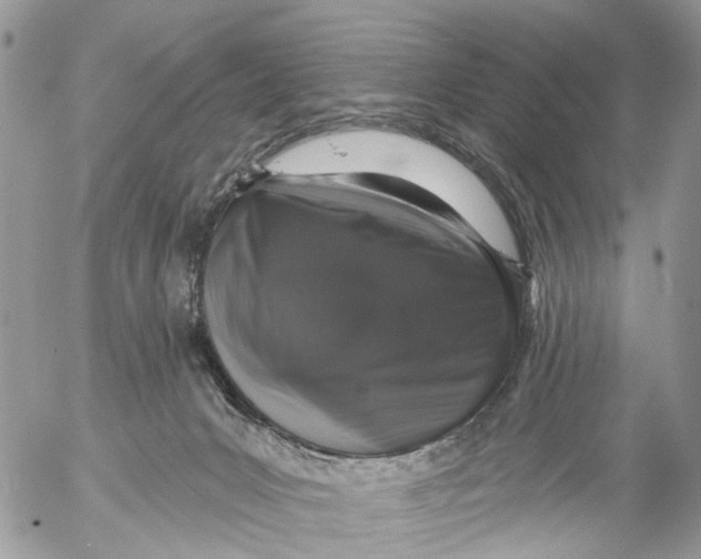 X0000053060031200508081205