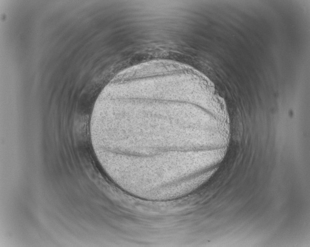 X0000053060034200508081205