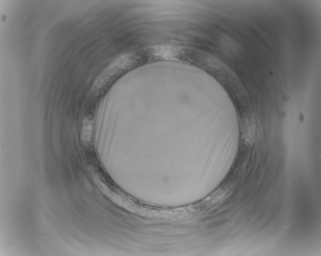 X0000053060036200508081205