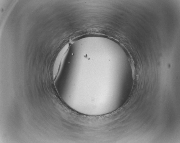 X0000053060037200508081205