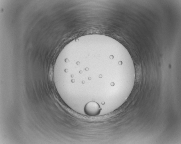 X0000053060038200508081205