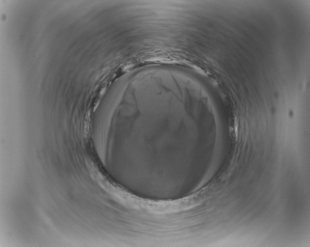 X0000053060039200508081205