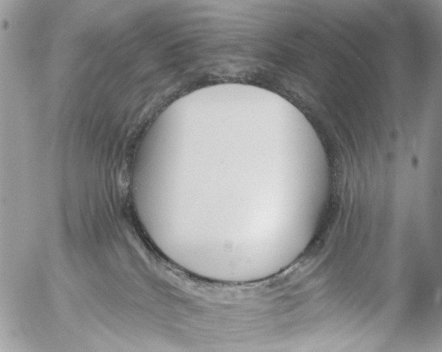 X0000053060040200508081205