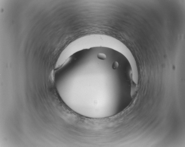 X0000053060041200508081205